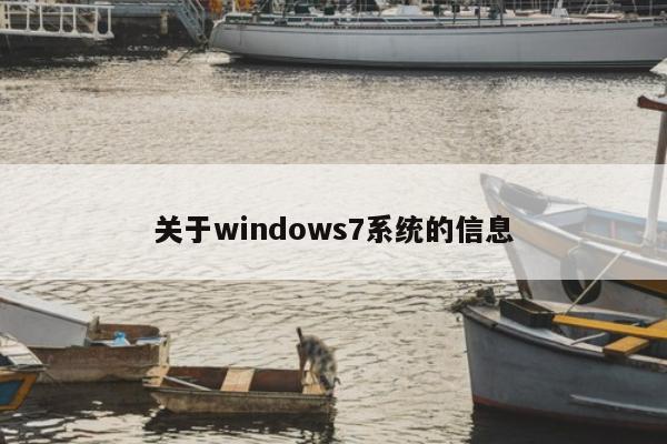 关于windows7系统的信息