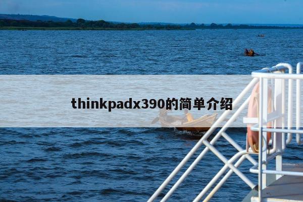 thinkpadx390的简单介绍