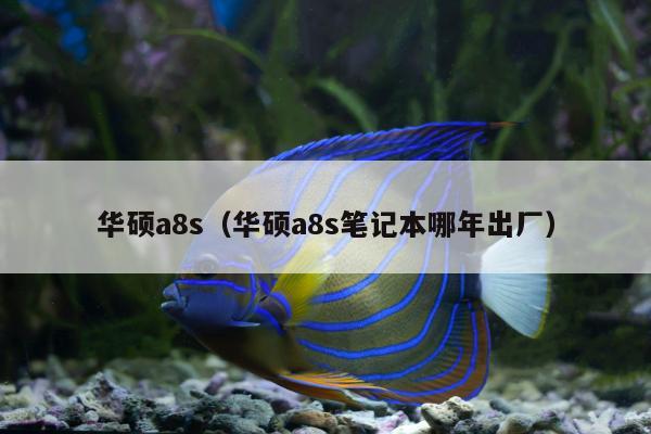 华硕a8s（华硕a8s笔记本哪年出厂）