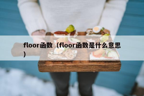 floor函数（floor函数是什么意思）