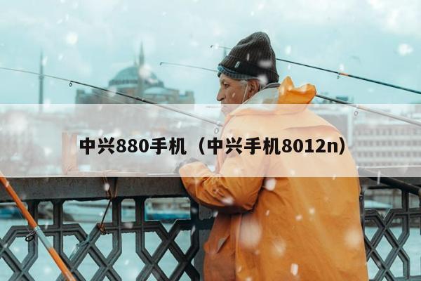 中兴880手机（中兴手机8012n）