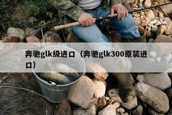 奔驰glk级进口（奔驰glk300原装进口）