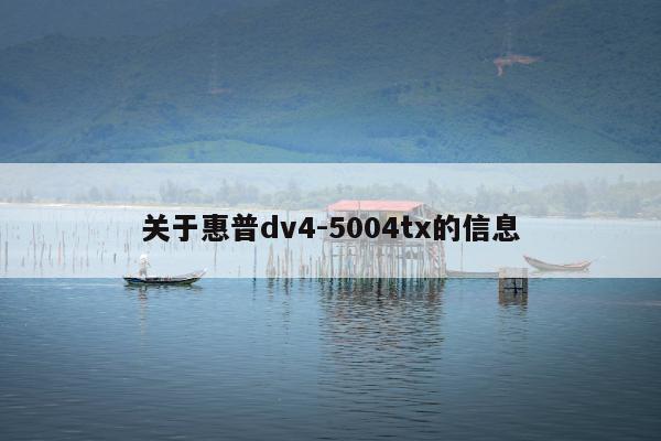 关于惠普dv4-5004tx的信息