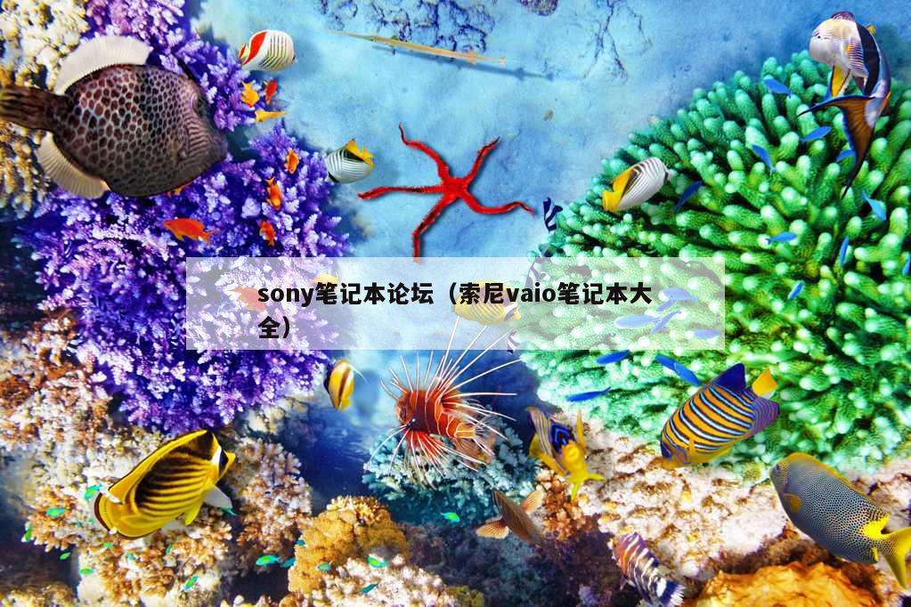 sony笔记本论坛（索尼vaio笔记本大全）