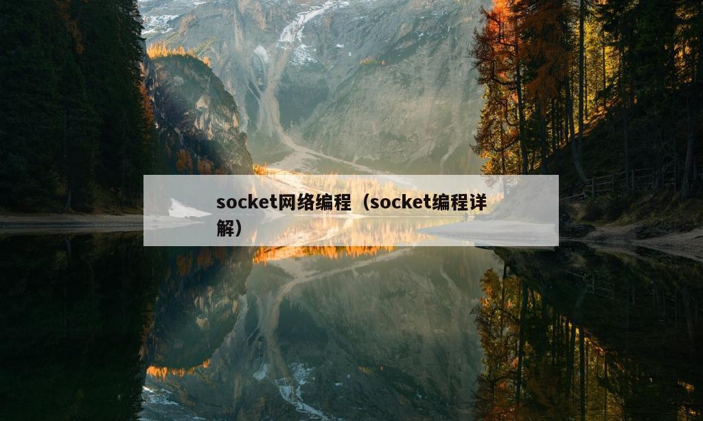 socket网络编程（socket编程详解）