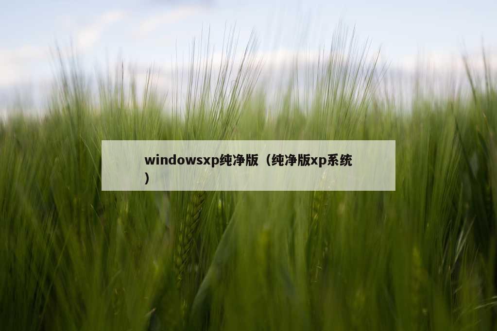 windowsxp纯净版（纯净版xp系统）