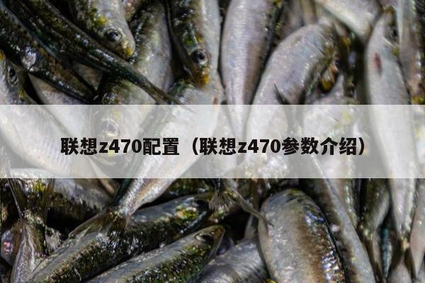 联想z470配置（联想z470参数介绍）