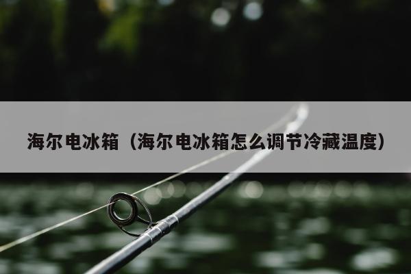 海尔电冰箱（海尔电冰箱怎么调节冷藏温度）