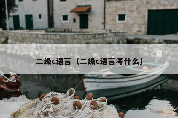 二级c语言（二级c语言考什么）