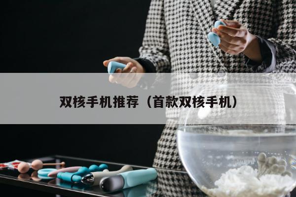 双核手机推荐（首款双核手机）