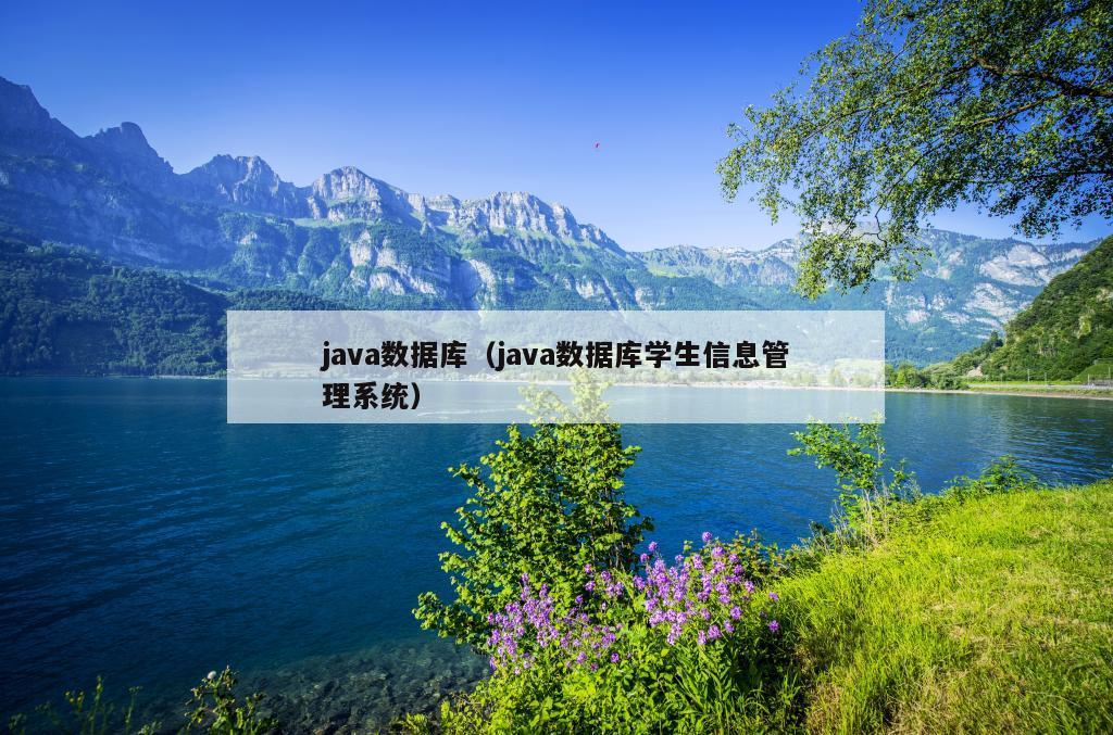 java数据库（java数据库学生信息管理系统）