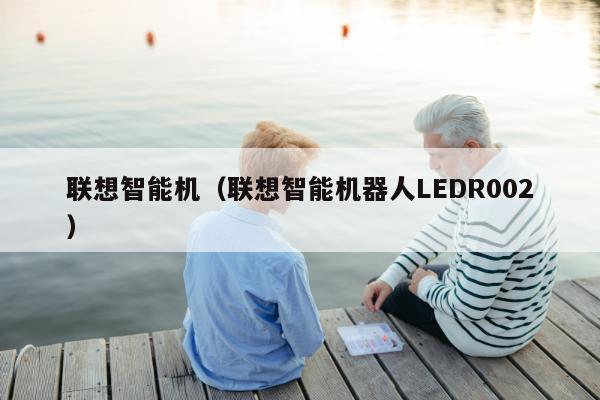 联想智能机（联想智能机器人LEDR002）