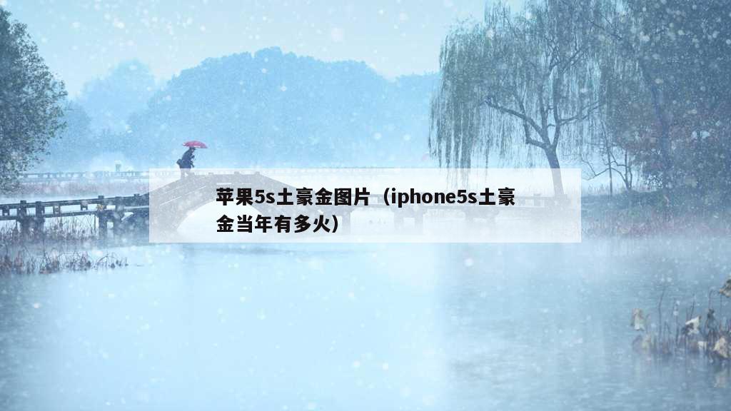 苹果5s土豪金图片（iphone5s土豪金当年有多火）