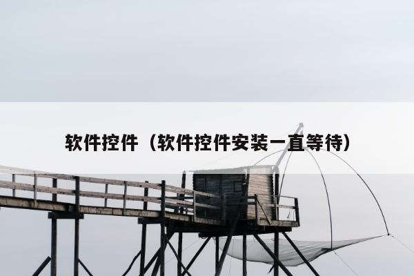 软件控件（软件控件安装一直等待）