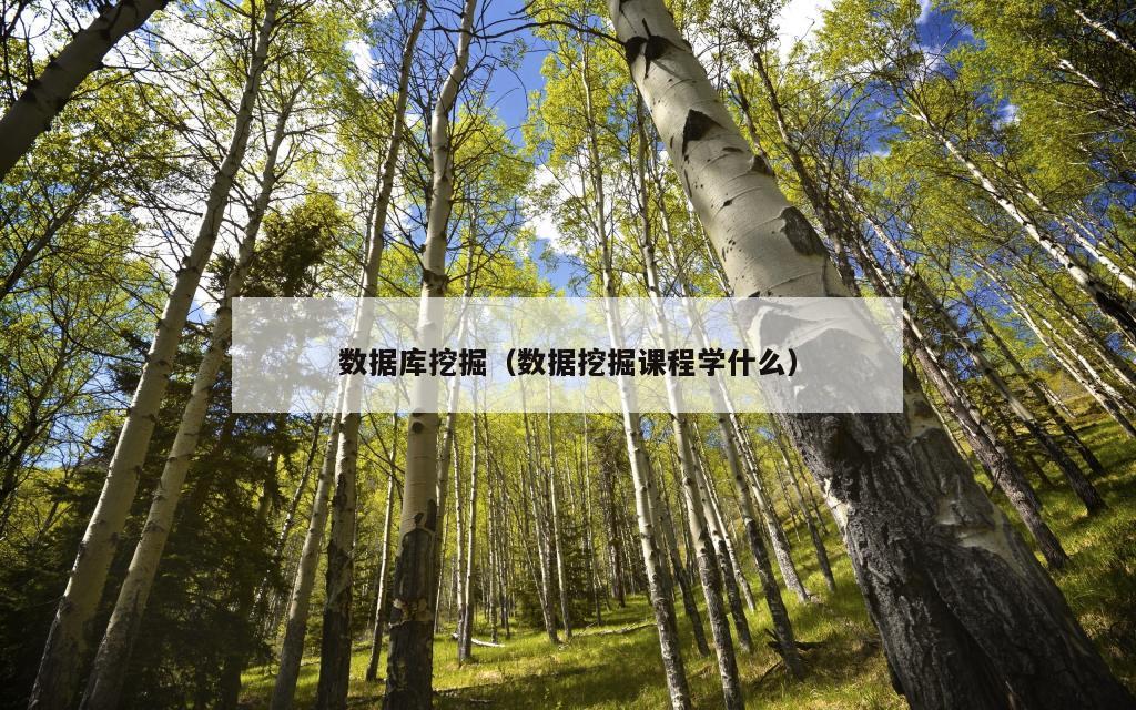 数据库挖掘（数据挖掘课程学什么）