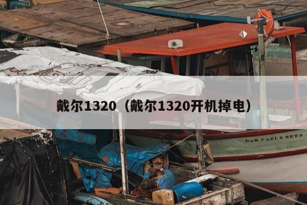 戴尔1320（戴尔1320开机掉电）