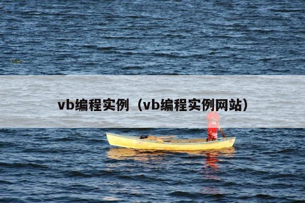 vb编程实例（vb编程实例网站）