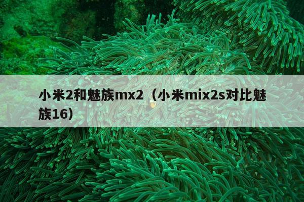 小米2和魅族mx2（小米mix2s对比魅族16）