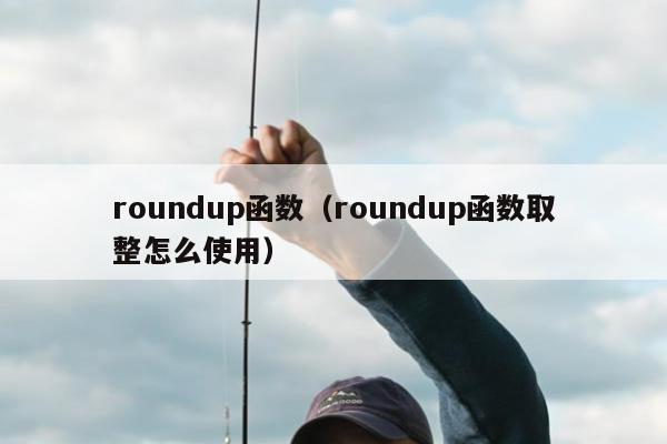 roundup函数（roundup函数取整怎么使用）