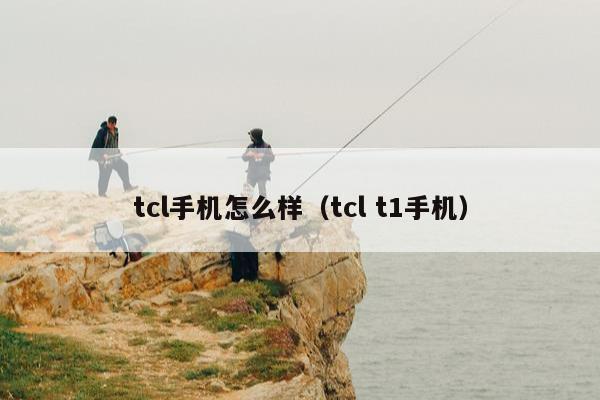 tcl手机怎么样（tcl t1手机）