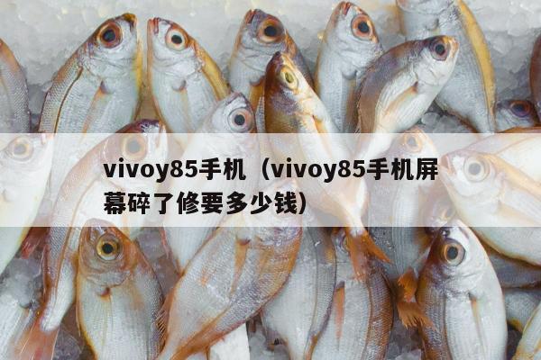 vivoy85手机（vivoy85手机屏幕碎了修要多少钱）