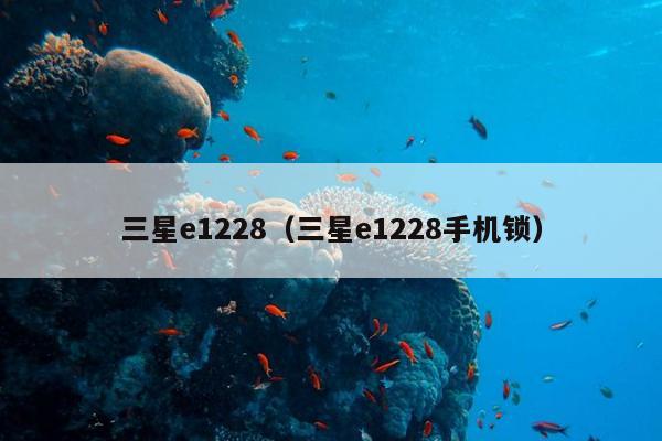 三星e1228（三星e1228手机锁）