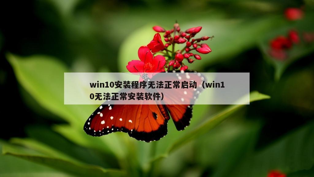 win10安装程序无法正常启动（win10无法正常安装软件）