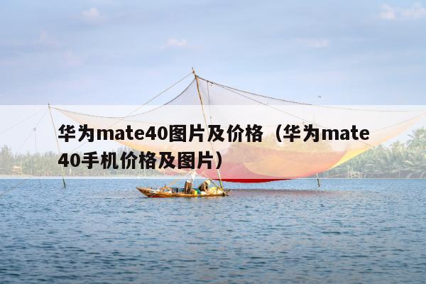 华为mate40图片及价格（华为mate40手机价格及图片）