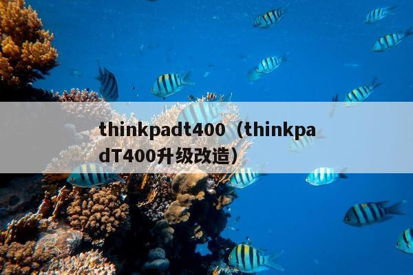 thinkpadt400（thinkpadT400升级改造）