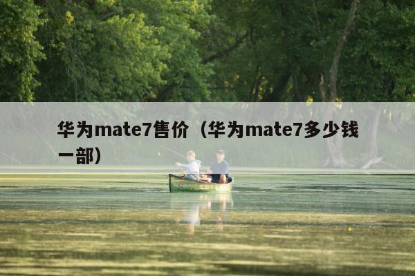 华为mate7售价（华为mate7多少钱一部）