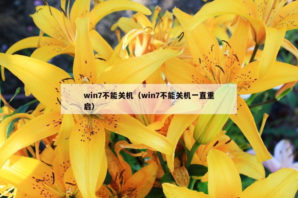 win7不能关机（win7不能关机一直重启）