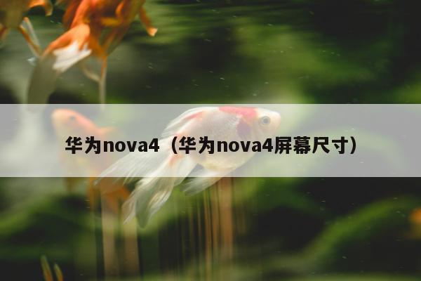 华为nova4（华为nova4屏幕尺寸）