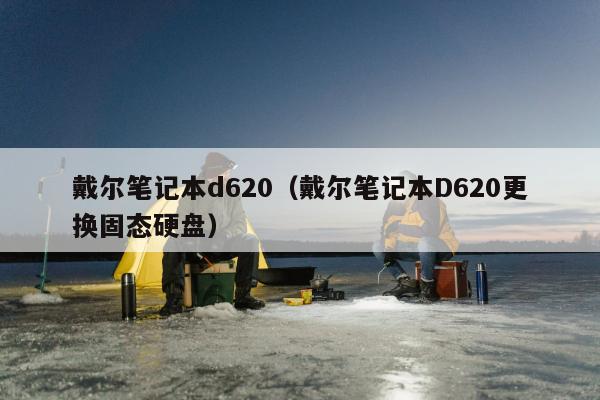 戴尔笔记本d620（戴尔笔记本D620更换固态硬盘）