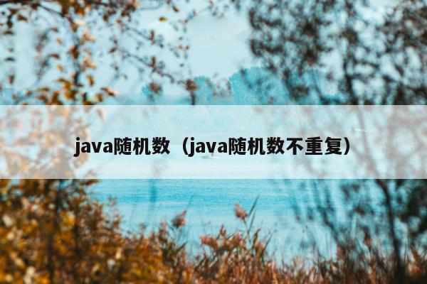 java随机数（java随机数不重复）