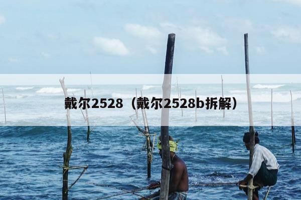 戴尔2528（戴尔2528b拆解）