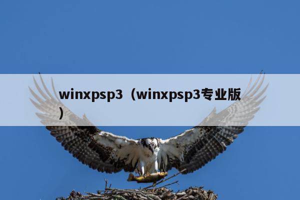 winxpsp3（winxpsp3专业版）