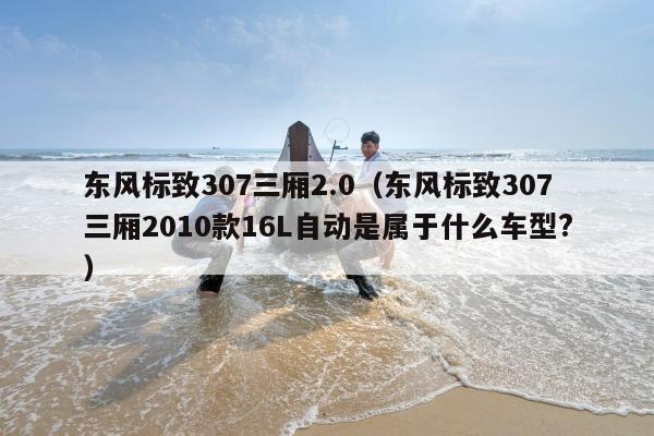 东风标致307三厢2.0（东风标致307三厢2010款16L自动是属于什么车型?）