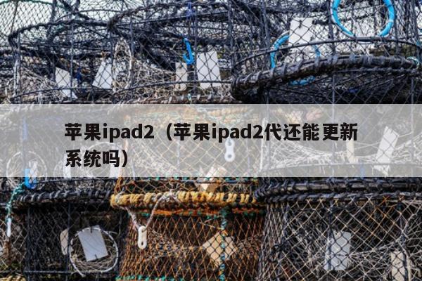 苹果ipad2（苹果ipad2代还能更新系统吗）