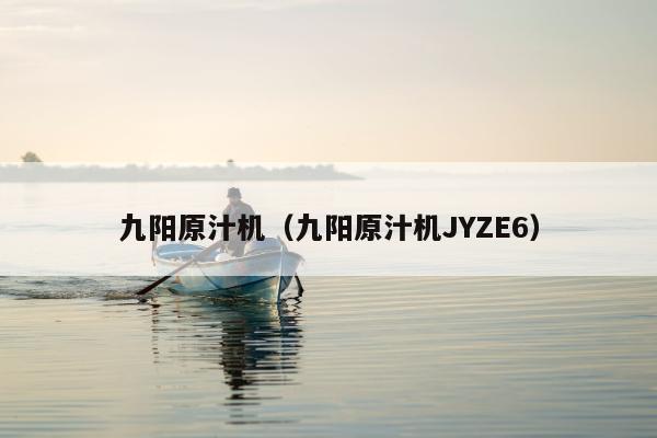 九阳原汁机（九阳原汁机JYZE6）