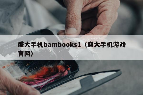 盛大手机bambooks1（盛大手机游戏官网）