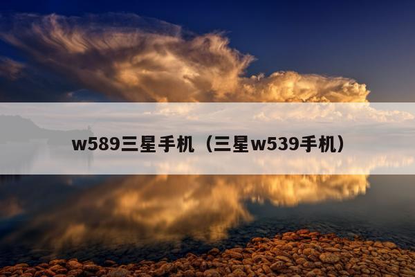 w589三星手机（三星w539手机）