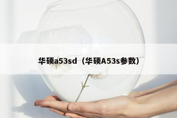 华硕a53sd（华硕A53s参数）