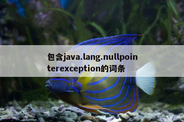 包含java.lang.nullpointerexception的词条