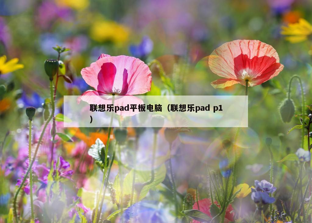 联想乐pad平板电脑（联想乐pad p1）