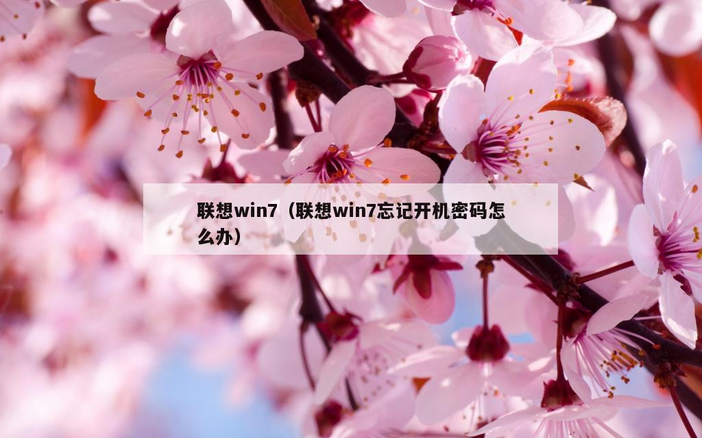 联想win7（联想win7忘记开机密码怎么办）