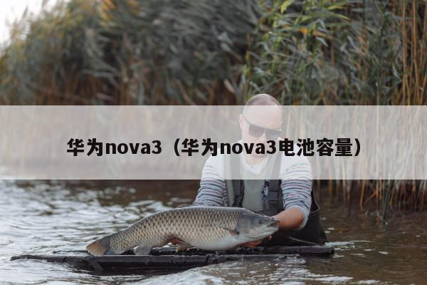 华为nova3（华为nova3电池容量）