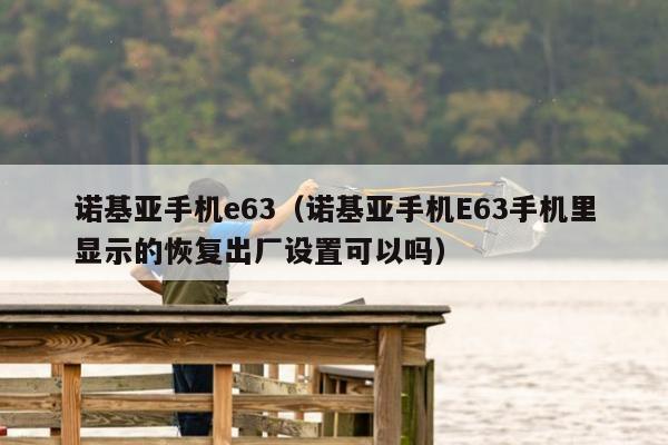 诺基亚手机e63（诺基亚手机E63手机里显示的恢复出厂设置可以吗）