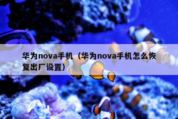 华为nova手机（华为nova手机怎么恢复出厂设置）