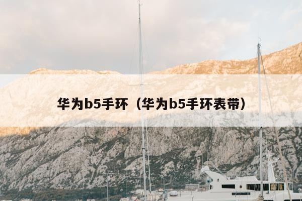 华为b5手环（华为b5手环表带）