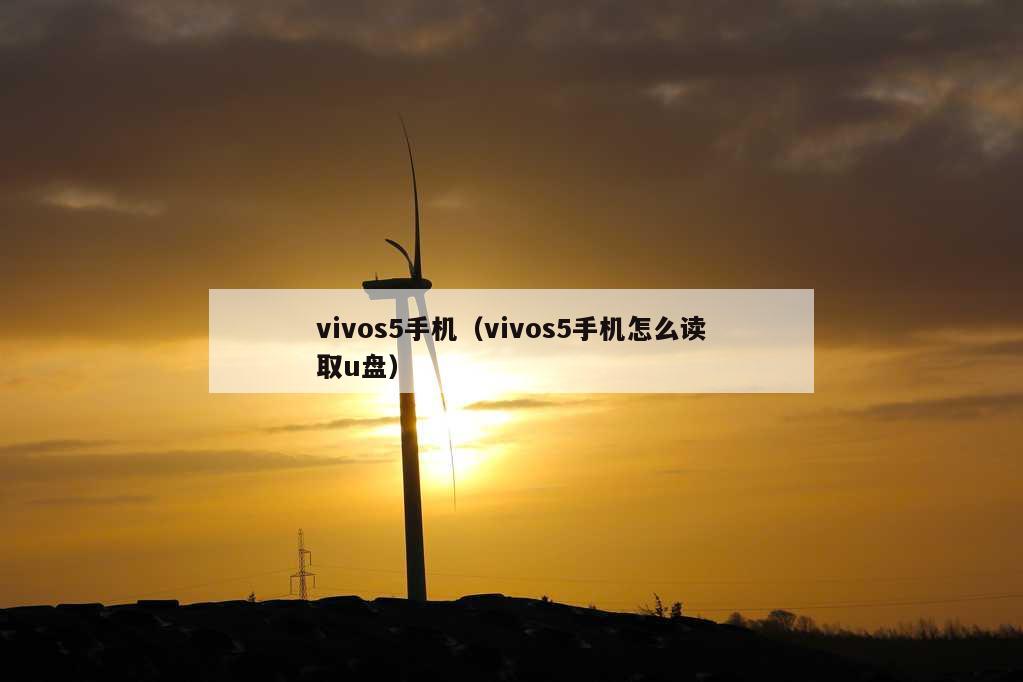 vivos5手机（vivos5手机怎么读取u盘）